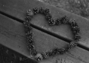heart nature