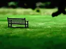 lil bench
