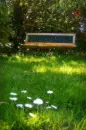 nature bench green
