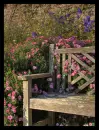 old bench
