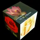 Flower cube