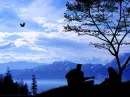together blue