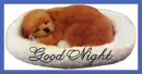 Good Night