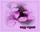 hello