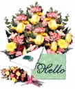 hello