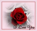 love u 