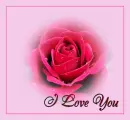 love u