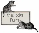 fun