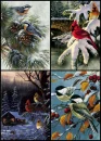 BIRDS