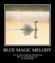 SWANS