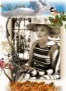 marilyn,birds