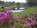 flowers bridge