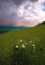 rainbow land