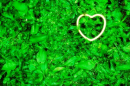 grass heart