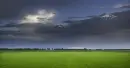 pure nature