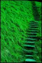 green steps2