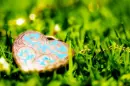 heart in grass