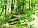 green steps3