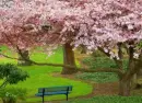 landscape bench