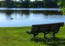 bench with blue
