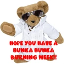 Elvis Bear
