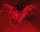 corazon