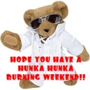 Elvis Bear 2