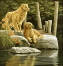 DOGS