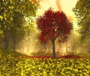 FALL