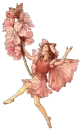 FAIRY