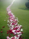 rose way