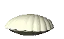 CLAM
