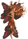 FAIRY