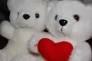 bears