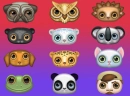 Animals
