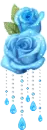 blue rose