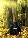 nature guitar