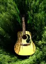 grass guitar