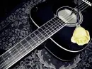 rose guitar