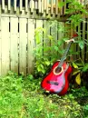 red guitar nature
