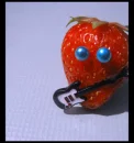 lil guitar