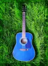 natural guitar2