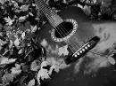 guitar in grass2