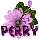 Purple Bugs Flower,Perry