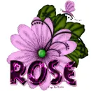 Purple Bugs Flower,Rose