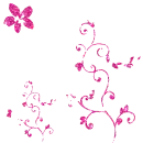 kwiaty flower abstract