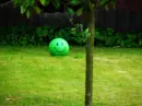 happy face