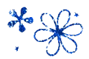 kwiaty flower 