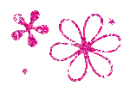 kwiaty flower