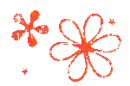 kwiaty flower